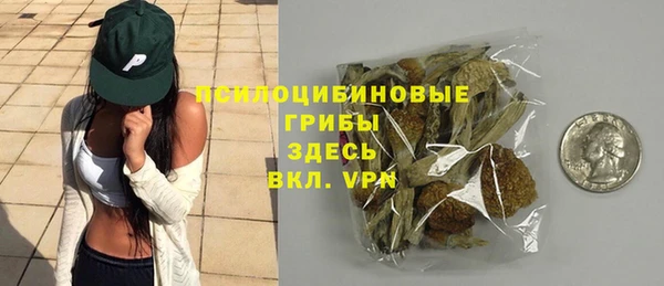 дмт Зеленодольск