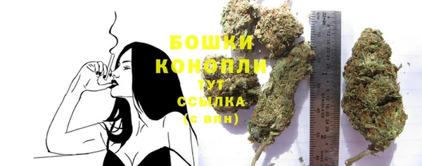 стаф Зерноград