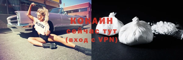 стаф Зерноград