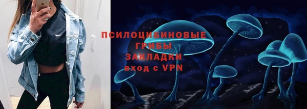 дмт Зеленодольск