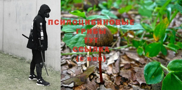 стаф Зерноград
