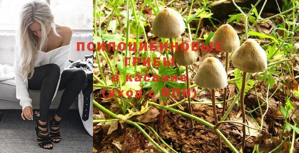 стаф Зерноград