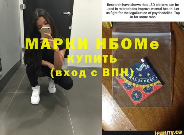 стаф Зерноград