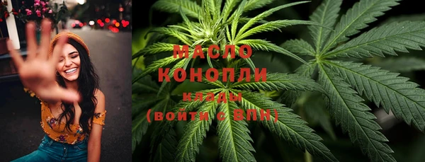 дмт Зеленодольск